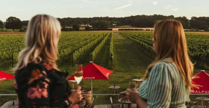 kent-balfour-vineyard-walk-and-wine-tasting