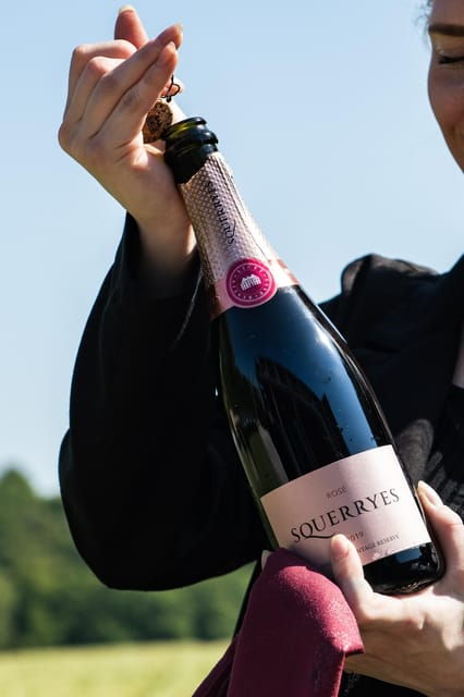 Kent: Squerryes Wine Tour and Tasting - Key Points