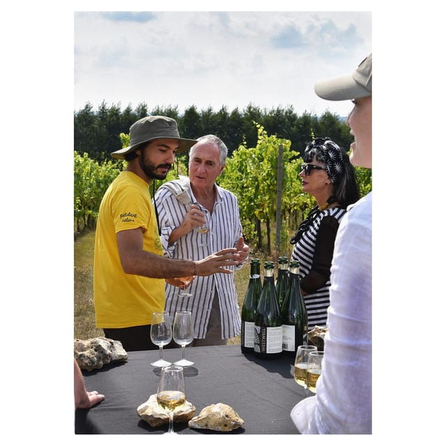 kent-tour-and-wine-tasting-at-westwell-wine-estate