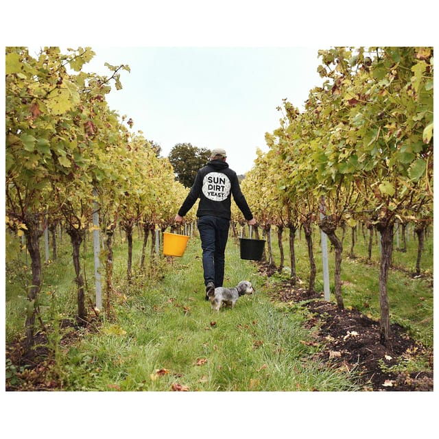 kent-tour-and-wine-tasting-at-westwell-wine-estate