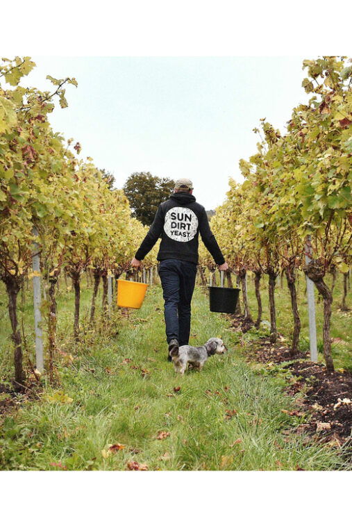 kent-tour-and-wine-tasting-at-westwell-wine-estate