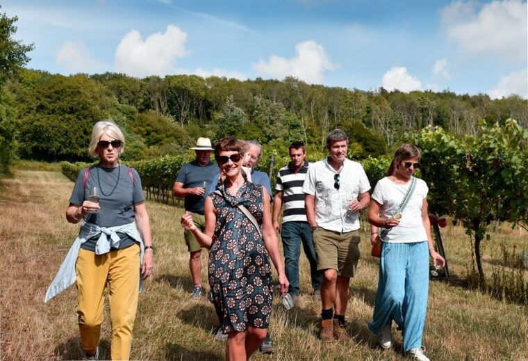 kent-tour-and-wine-tasting-at-westwell-wine-estate