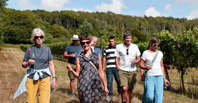 kent-tour-and-wine-tasting-at-westwell-wine-estate