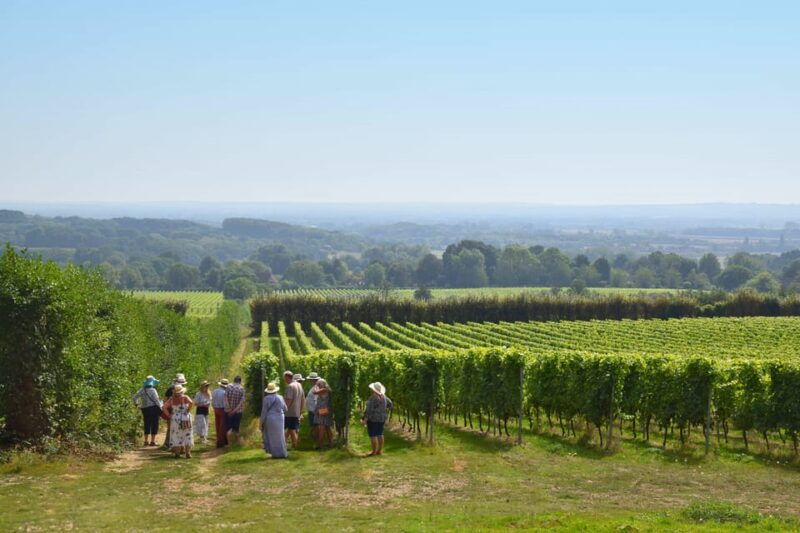 kent-yotes-court-vineyard-tour-and-tasting