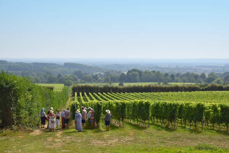 kent-yotes-court-vineyard-tour-and-tasting