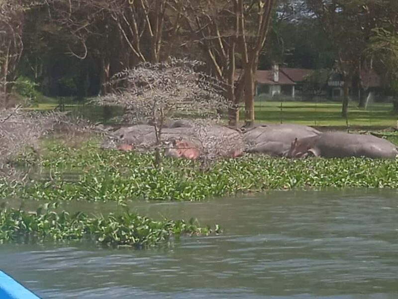 Kenya: 11-Day Safari and Beach Tour from Nairobi to Diani - Starting Out in Nairobi