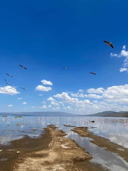 Kenya: 11-Day Safari and Beach Tour from Nairobi to Diani - Frequently Asked Questions