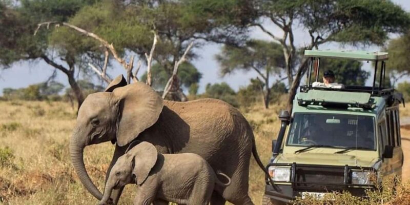 Kenya: 14-Day Best Wildlife Safari and Beach Holiday Safari - Kenya: 14-Day Best Wildlife Safari and Beach Holiday Safari – An Honest Review