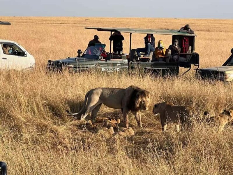 Kenya: 5-Day Maasai Mara & Lake Nakuru Camping Safari - Key Points