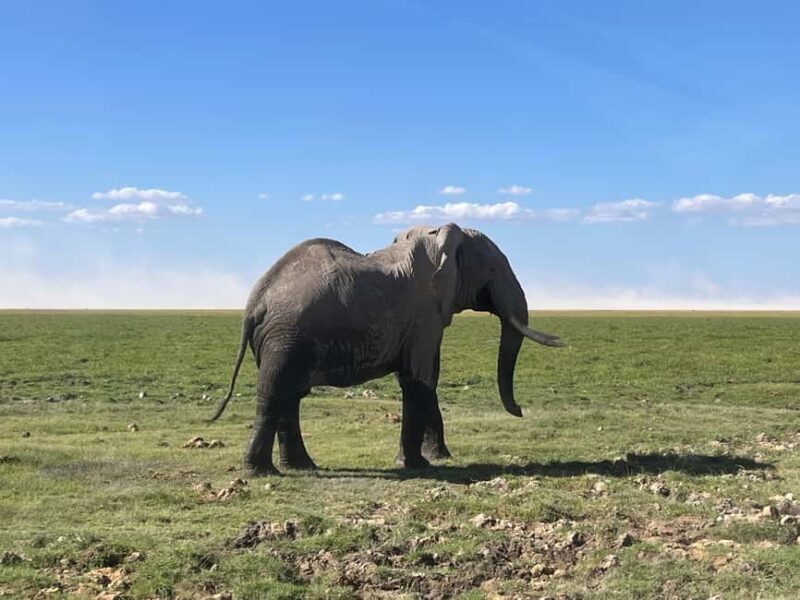 Kenya: 5-Day Maasai Mara & Lake Nakuru Camping Safari - Exploring the Itinerary: What Sets This Safari Apart