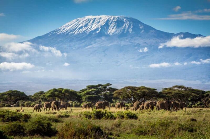 Kenya: 6-Day Safari with Accommodation and Transfers - FAQs  