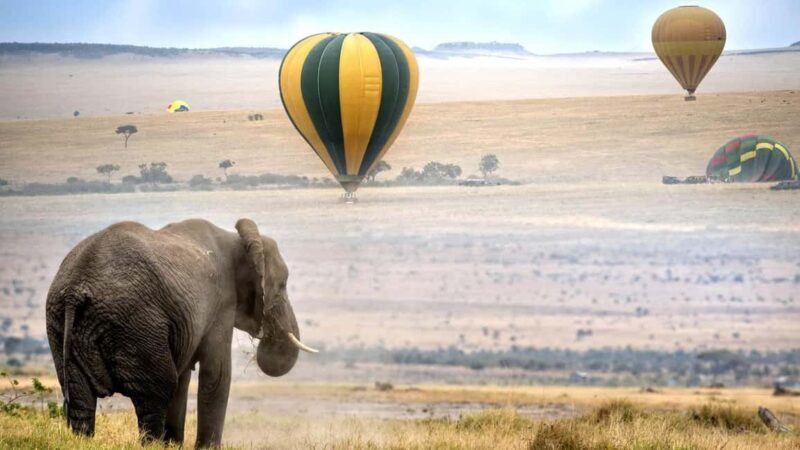 Kenya: 7-Day Masai Mara, Lake Nakuru, and Samburu Safari - Exploring the Itinerary in Detail