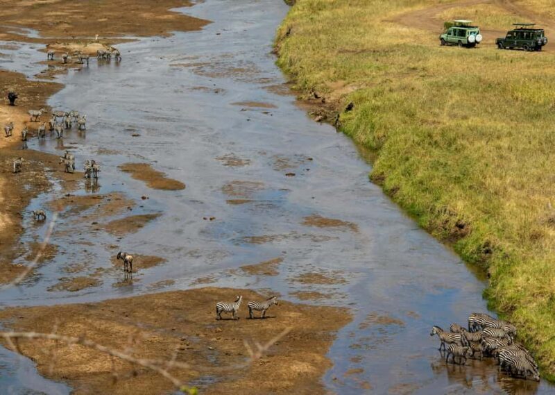 Kenya: 7-Day Masai Mara, Lake Nakuru, and Samburu Safari - Pricing and Value Analysis
