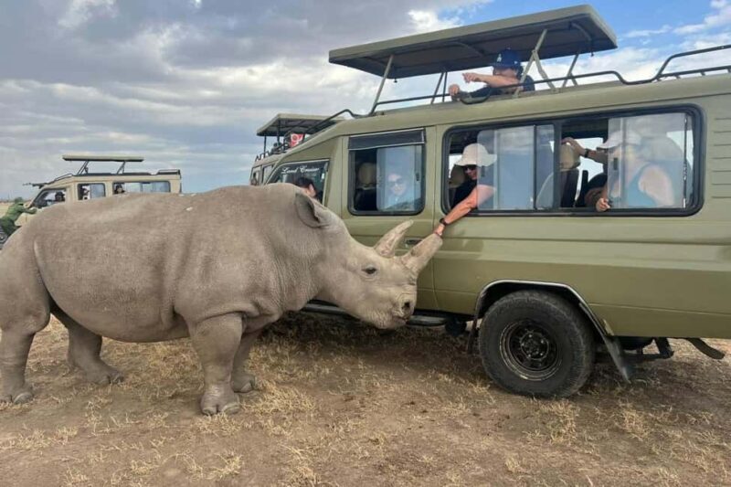 Kenya: 8-Day Mid-Range Safari - All Inclusive - Transportation & Accommodation