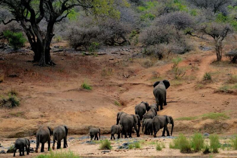 Kenya: 8-Day Mid-Range Safari - All Inclusive - FAQ