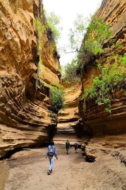 Kenya: 9-Day Soft Trekking Safari - Key Points