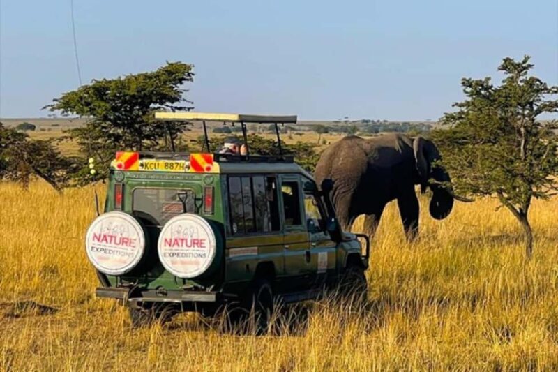 Kenya: 9-Day Soft Trekking Safari - Who Should Consider This Safari?