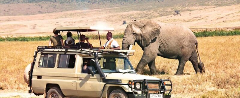 Kenya and Tanzania: 10-Day Classic Safari with Accommodation - Detailed Breakdown of the Tour