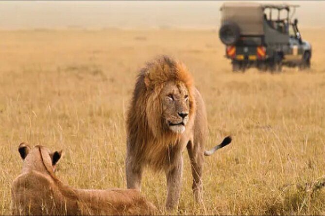 Kenya safari - FAQs