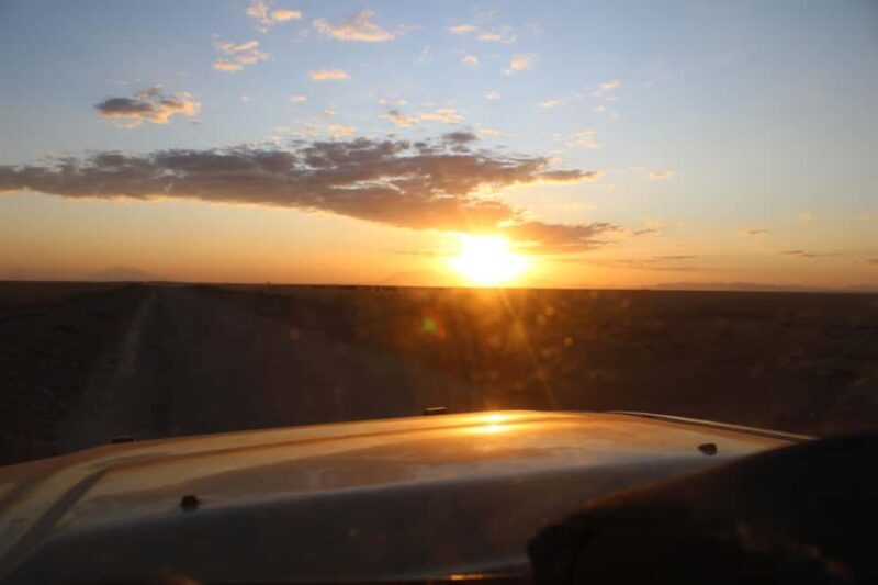 Kenyan Splendor: A 10-Day Safari - Who Is This Tour Best For?