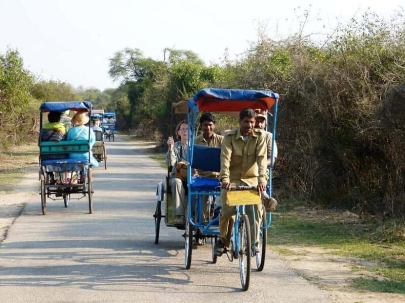 Keoladeo National Park Tickets and Guided Tour - Key Points