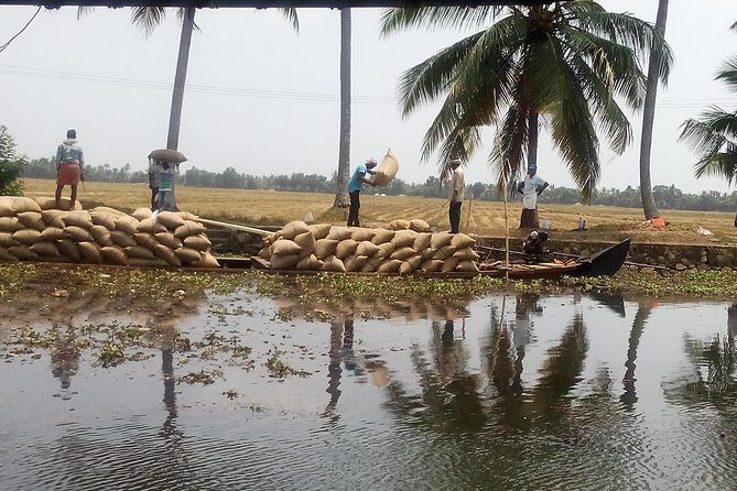 Kerala Backwater Cruise in Exclusive Water Taxi Explores Narrows - An In-Depth Look at the Kerala Backwater Experience