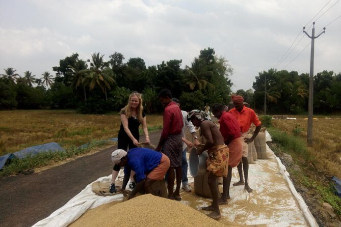 Kerala Backwater Cruise in Exclusive Water Taxi Explores Narrows - Who Will Love This Tour?
