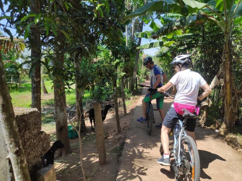 Kerala Backwater Village Cycling Tour (Kumarakom) - Final Thoughts: Who Should Consider This Tour?