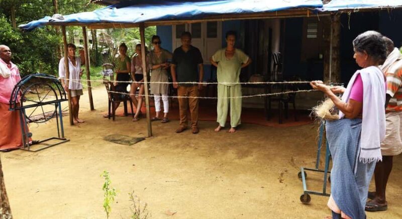 Kerala: Backwater Village Punting Boat Cruise with Lunch - Exploring Kerala’s Backwaters on a Punting Boat Tour