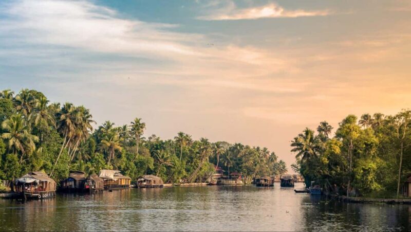 Kerala in 2 Days: Cochin Sightseeing & Alleppey Houseboat. - Introduction: A Well-Rounded Slice of Kerala