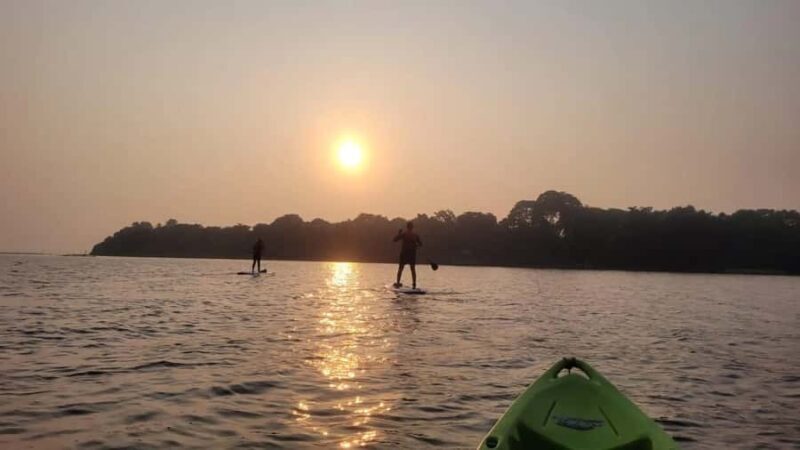 Kerala: SUP or Kayak to Bird's Island with Nature Walk - Key Points