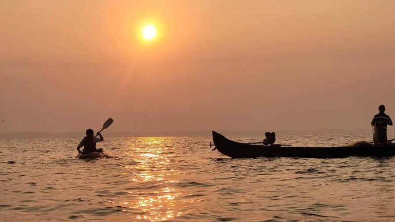 Kerala: SUP or Kayak to Bird's Island with Nature Walk - Pricing & Value