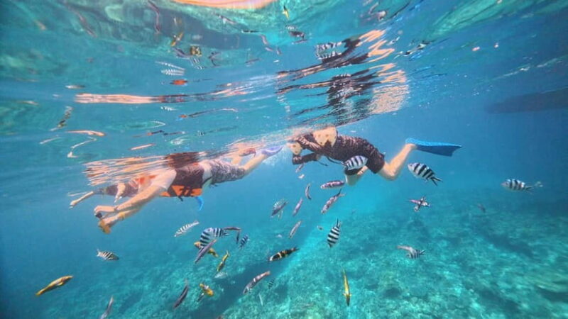 Kerama Half-Day Snorkeling Tour - Practical Details: What to Know Before Booking