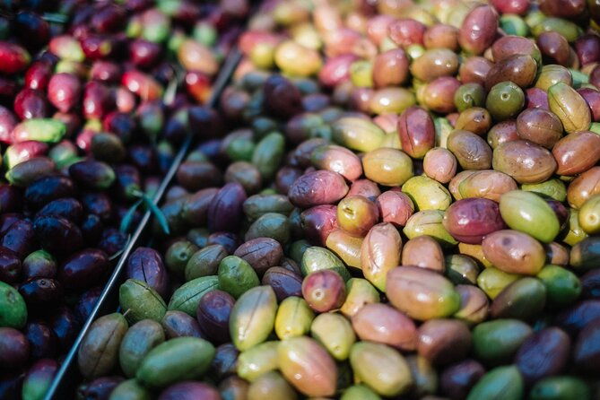 keramikos-food-tour-in-athens