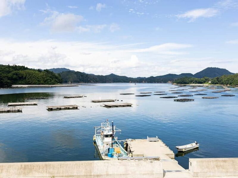 Kesennuma: Local Food & Sake Dinner Pairing Experience - Discovering Kesennuma’s Charm: A Unique Food and Sake Journey