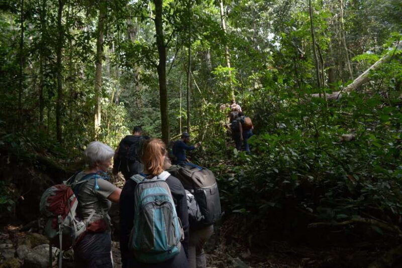 ketambe-sumatra-jungle-trekking-and-rafting-2