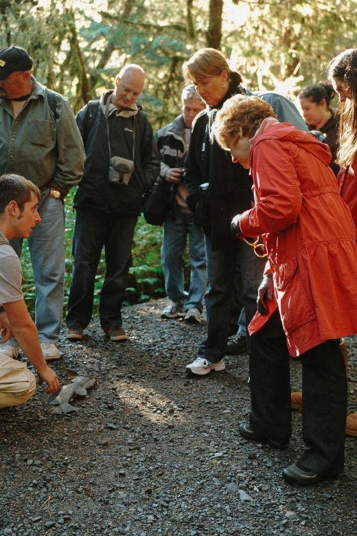 ketchikan-alaska-rainforest-sanctuary-and-totem-park-walk