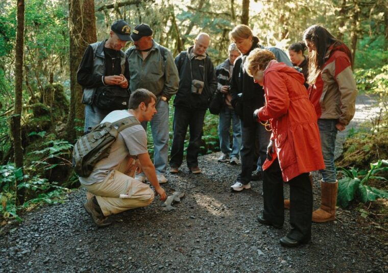 ketchikan-alaska-rainforest-sanctuary-and-totem-park-walk
