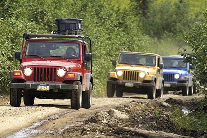 Ketchikan Jeep and Canoe Safari - The Experience in Detail