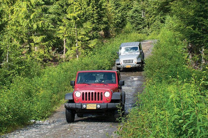 Ketchikan Jeep and Canoe Safari - Final Thoughts: Is It Worth It?