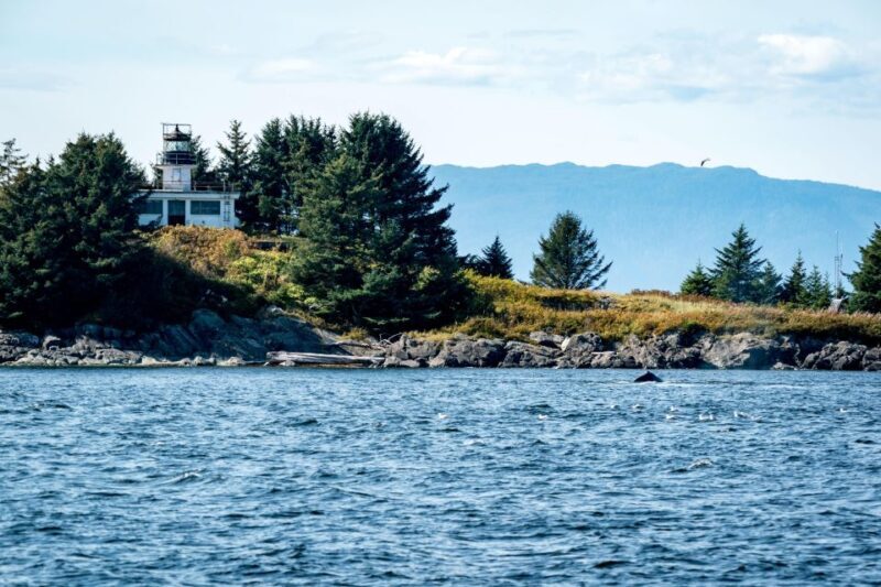 Ketchikan: Lighthouse, Totems & Eagles Excursion - FAQ  