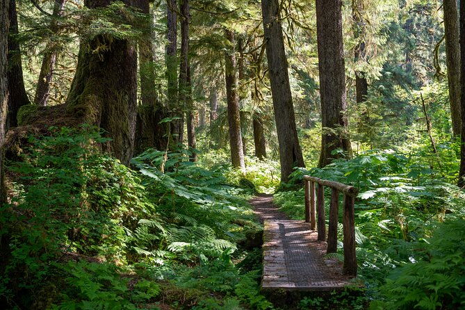 ketchikan-magical-old-growth-creek-trek-guided-tour