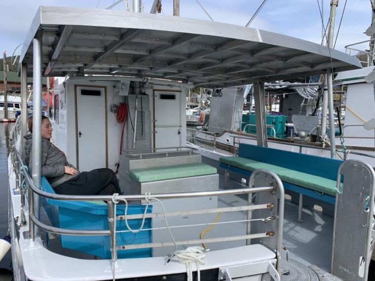 ketchikan-marine-wildlife-and-whale-watching-boat-tour
