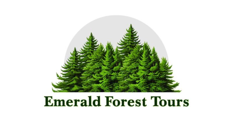 Ketchikan: Private Tour suitable for all ages! - Key Points