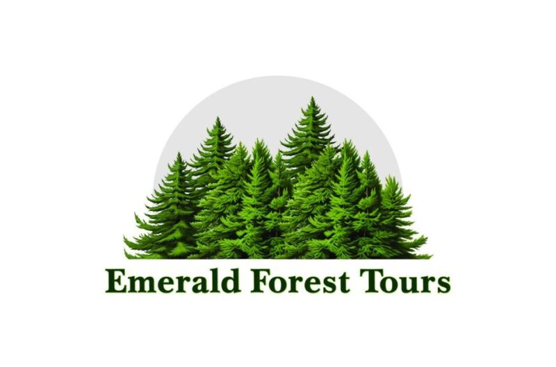 Ketchikan: Private Tour suitable for all ages! - Transportation and Practical Details