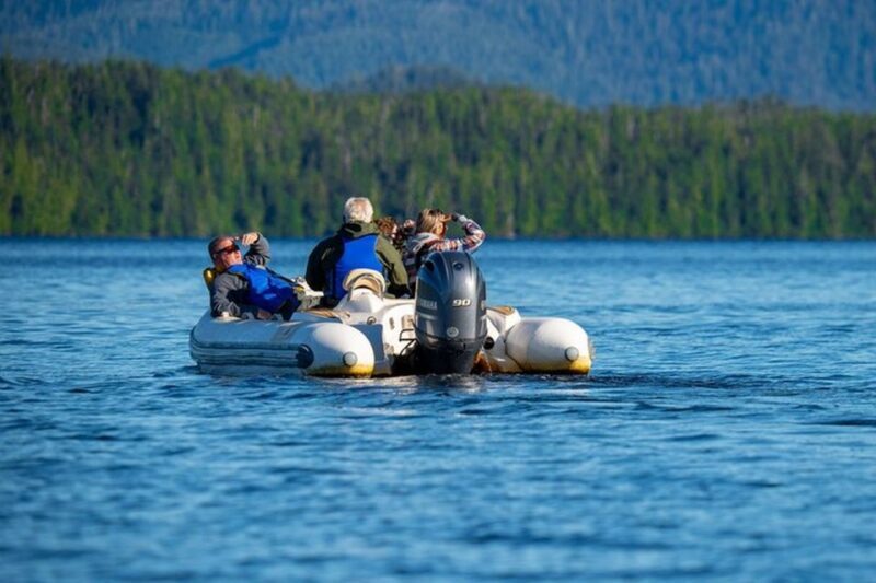 Ketchikan: Scenic Drive & George Inlet Fjords Zodiac Cruise - Authentic Experiences and What Reviewers Say