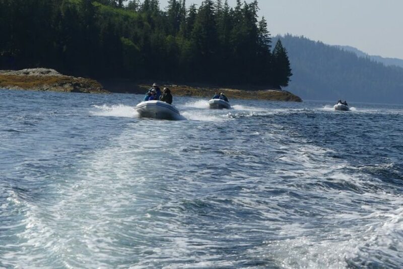 Ketchikan: Scenic Drive & George Inlet Fjords Zodiac Cruise - The Sum Up