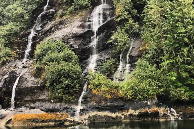 ketchikan-whale-watching-and-nature-tour