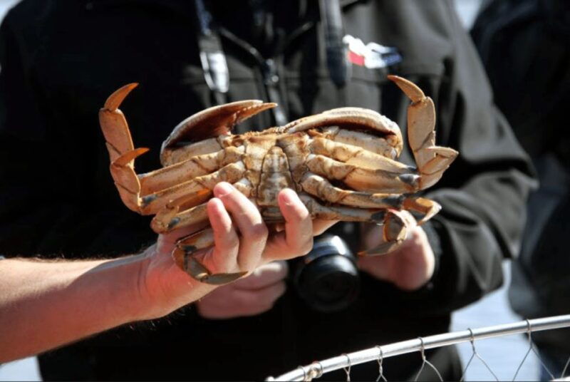 ketchikan-wilderness-boat-cruise-and-crab-feast-lunch