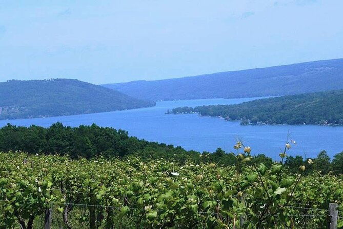 keuka-lake-winery-tour